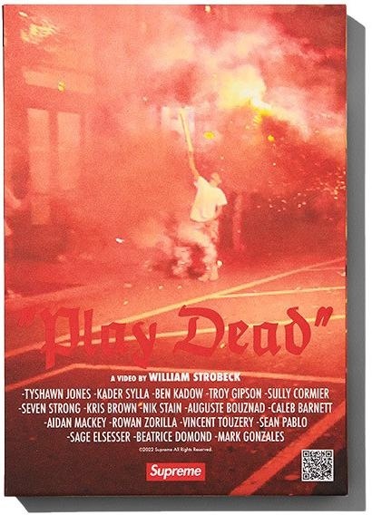 "Play Dead" Book view 3